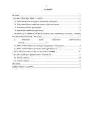 Darbo užmokestis, jo diferenciacija ir dinamika 2 puslapis