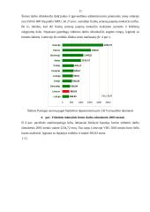 Darbo užmokestis, jo diferenciacija ir dinamika 11 puslapis