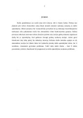 Darbo užmokestis, jo diferenciacija ir dinamika 3 puslapis