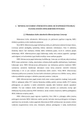 Darbo užmokestis, jo diferenciacija ir dinamika 7 puslapis