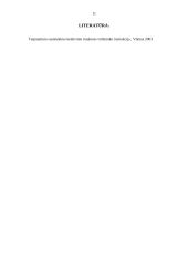 Darbo vietos aprašymas: traukinio viršininkas 11 puslapis