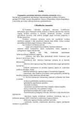 Darbo vietos aprašymas: traukinio viršininkas 3 puslapis