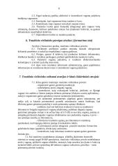 Darbo vietos aprašymas: traukinio viršininkas 8 puslapis