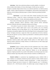 Darbo vietų įranga ir buitinės sąlygos 6 puslapis