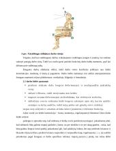 Darbo vietų įrengimas ofise 11 puslapis