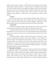 Darbo vietų įrengimas ofise 12 puslapis