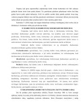 Darbo vietų įrengimas ofise 15 puslapis