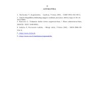 Darbo vietų įrengimas ofise 18 puslapis