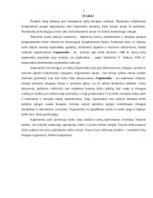 Darbo vietų įrengimas ofise 3 puslapis