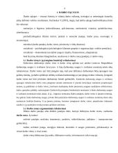 Darbo vietų įrengimas ofise 4 puslapis