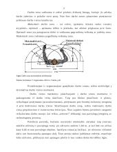 Darbo vietų išdėstymo patalpoje ypatumai 4 puslapis
