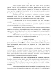 Darbo vietų organizavimas 12 puslapis