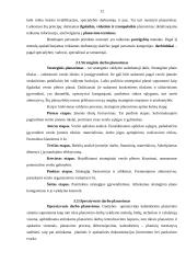 Darbo vietų organizavimas 13 puslapis