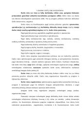 Darbo vietų organizavimas 3 puslapis