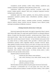 Darbuotojo savybės darančios įtaką siekiant karjeros 8 puslapis