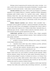 Darbuotojo savybės darančios įtaką siekiant karjeros 10 puslapis