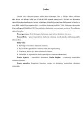 Darbuotojų materialinio skatinimo sistemos 2 puslapis