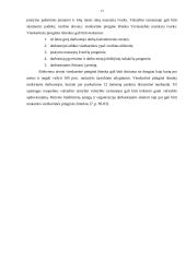 Darbuotojų materialinio skatinimo sistemos 13 puslapis