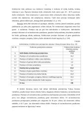 Darbuotojų materialinio skatinimo sistemos 6 puslapis