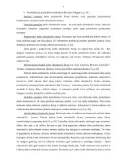 Darbuotojų materialinio skatinimo sistemos 9 puslapis