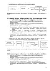 Skirtingos darbuotojų materialinio motyvavimo sistemos 13 puslapis
