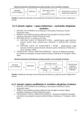 Skirtingos darbuotojų materialinio motyvavimo sistemos 14 puslapis