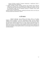 Skirtingos darbuotojų materialinio motyvavimo sistemos 17 puslapis