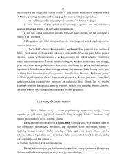 Darbuotojų motyvacijos teorijos 13 puslapis