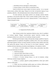 Darbuotojų motyvacijos teorijos 16 puslapis