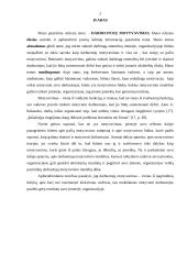 Darbuotojų motyvavimas 2 puslapis