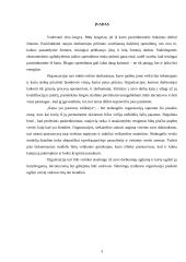 Profesionali darbuotojų paieška 3 puslapis