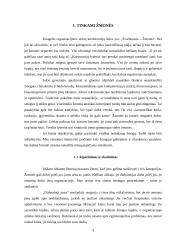 Profesionali darbuotojų paieška 4 puslapis