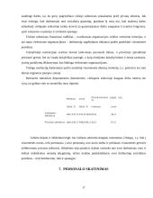 Darbuotojų rengimas ir motyvacija 17 puslapis