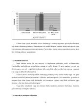 Darbuotojų rengimas ir motyvacija 19 puslapis