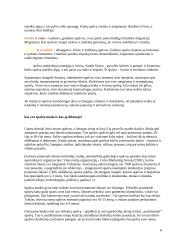 Dažų pasirinkimas 6 puslapis