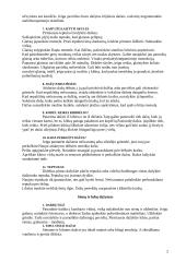 Dažymo darbai 2 puslapis