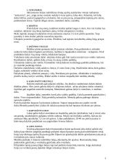 Dažymo darbai 3 puslapis