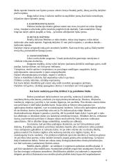 Dažymo darbai 4 puslapis