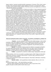 Dažymo darbai 5 puslapis