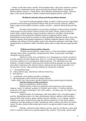 Dažymo darbai 6 puslapis