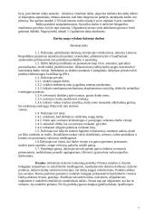 Dažymo darbai 7 puslapis