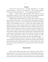 Degalų priedai 4 puslapis