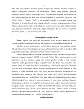 Degalų priedai 5 puslapis