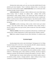 Degalų priedai 7 puslapis