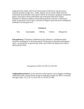 Degimas ir gesintuvai 12 puslapis