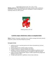 Degimas ir gesintuvai 13 puslapis