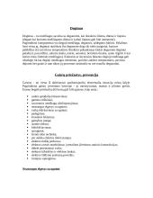 Degimas ir gesintuvai 3 puslapis