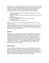 Degimas ir gesintuvai 4 puslapis