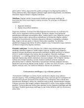 Degimas ir gesintuvai 10 puslapis