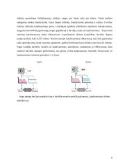 Deguonies koncentracijos davikliai 5 puslapis